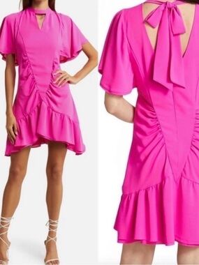 Le Superbe

Le Superbe Hot Pink Waikiki Ruched Mini Dress in size 8 NWT